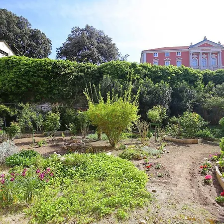 Appartement Happy Apartments Zadar *